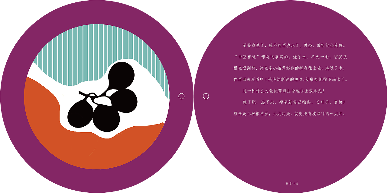 书籍插画设计-葡萄很甜