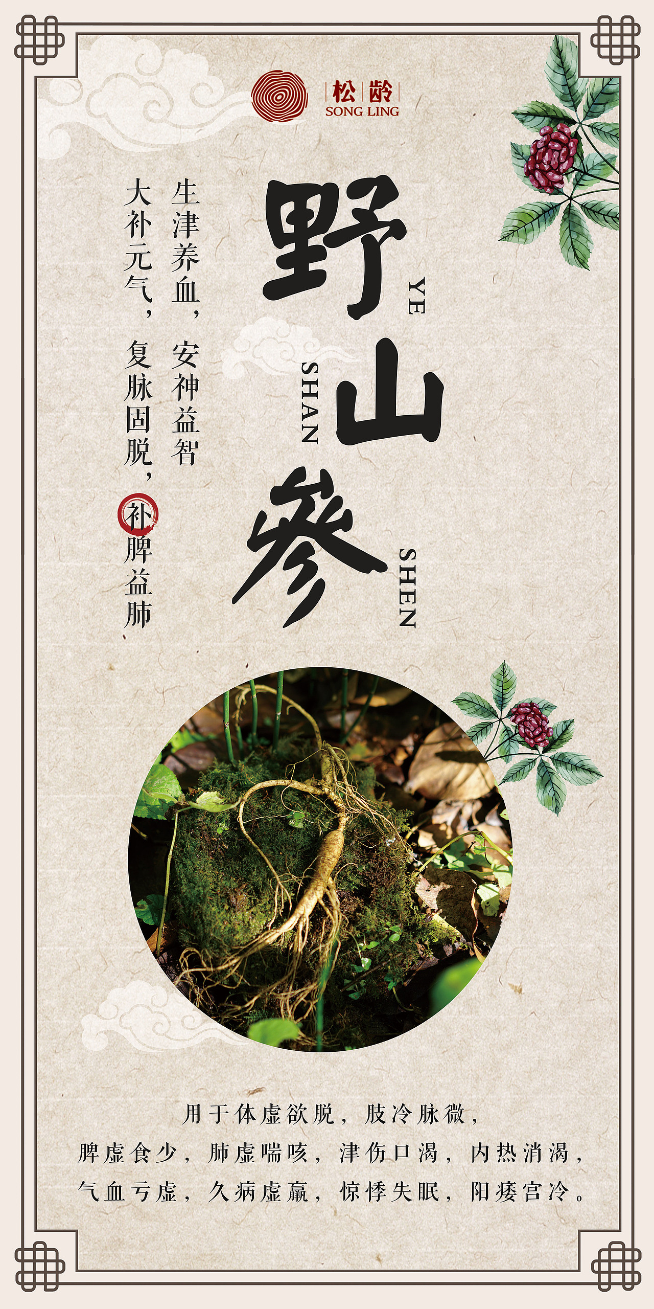 中药材平面广告平面设计灯箱广告（图ZNzcxNjMzMzY=） - 宣传物料 - 站酷设计师ellie仙仙原创素材 - 站酷ZCOOL