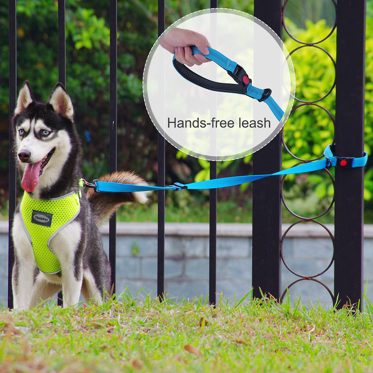 摄影（图ZMTM2NTgwOTI4） - 风光摄影 - 站酷设计师Lgz猪崽原创素材 - 站酷ZCOOL