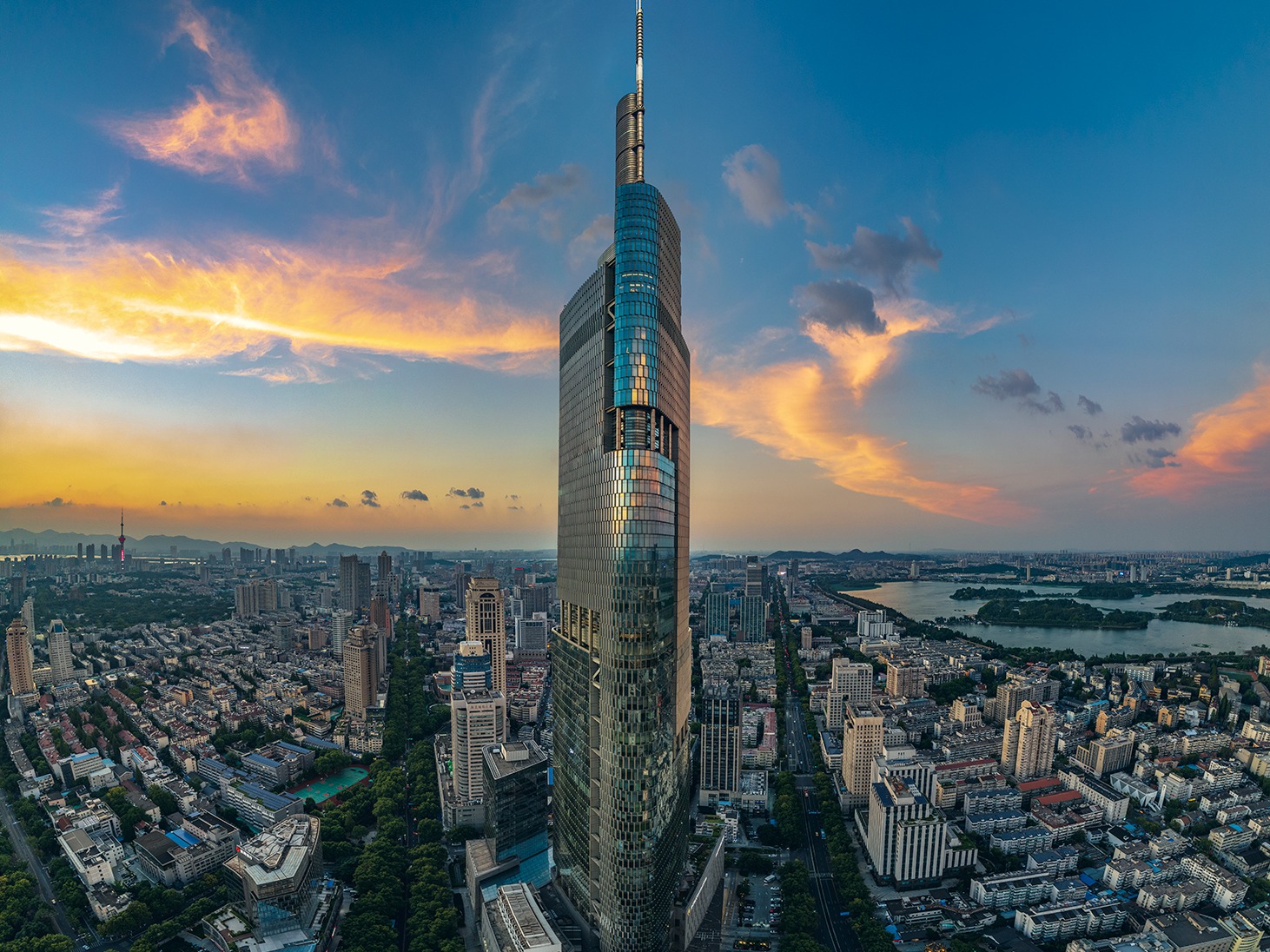 紫峰_oneQ站酷ZCOOL