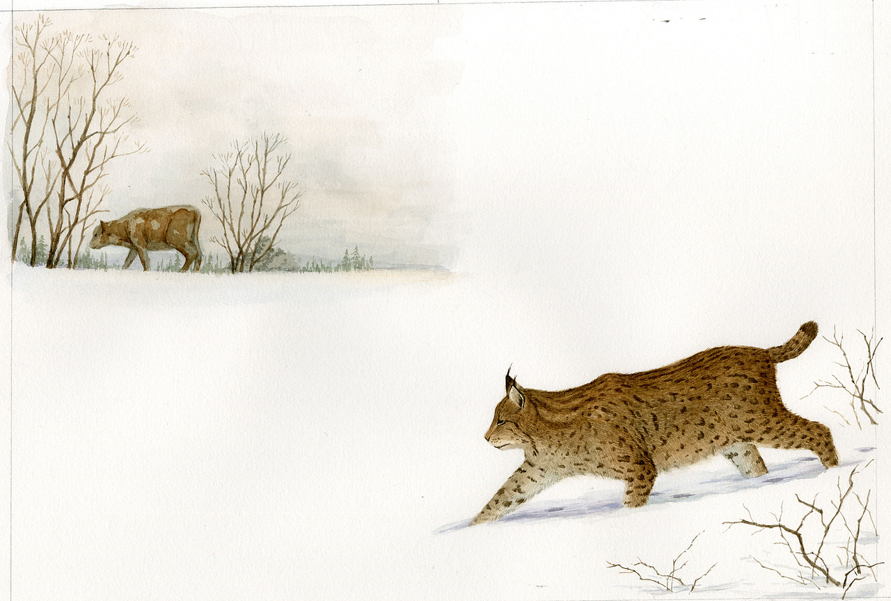 水彩习作 雪景（图ZNzAyMTkzNjA=） - 商业插画 - 站酷设计师李星明原创素材 - 站酷ZCOOL