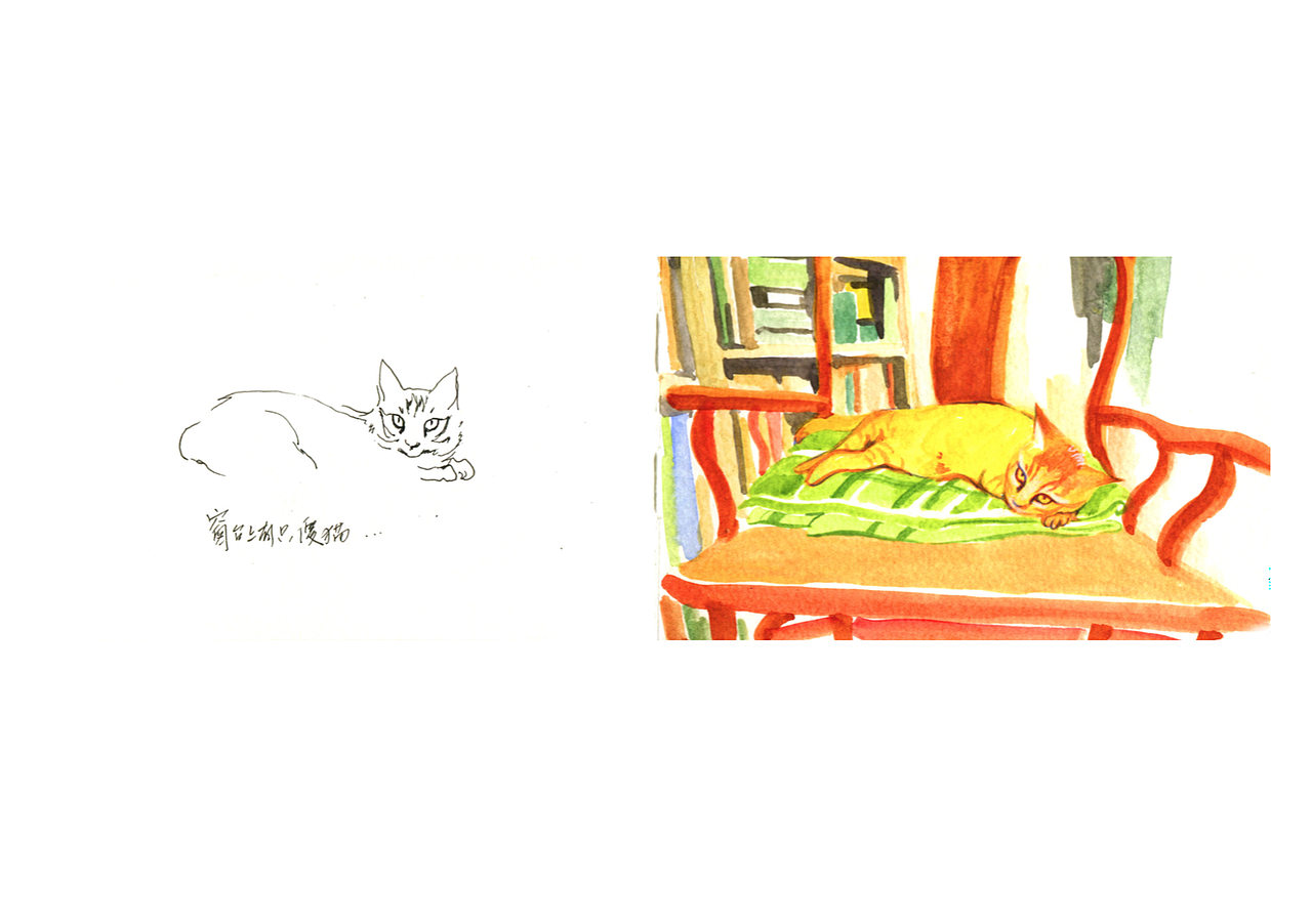 【SKETCH ONE】猫咪速写大集合 1（图ZMTAzMDEyMjY0） - 创作习作 - 站酷设计师多眠Domin原创素材 - 站酷ZCOOL