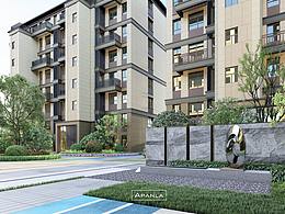 工作项目：镇江市棠院