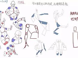 人体结构