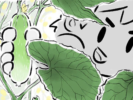 绵绵细雨织回忆11话菜园子