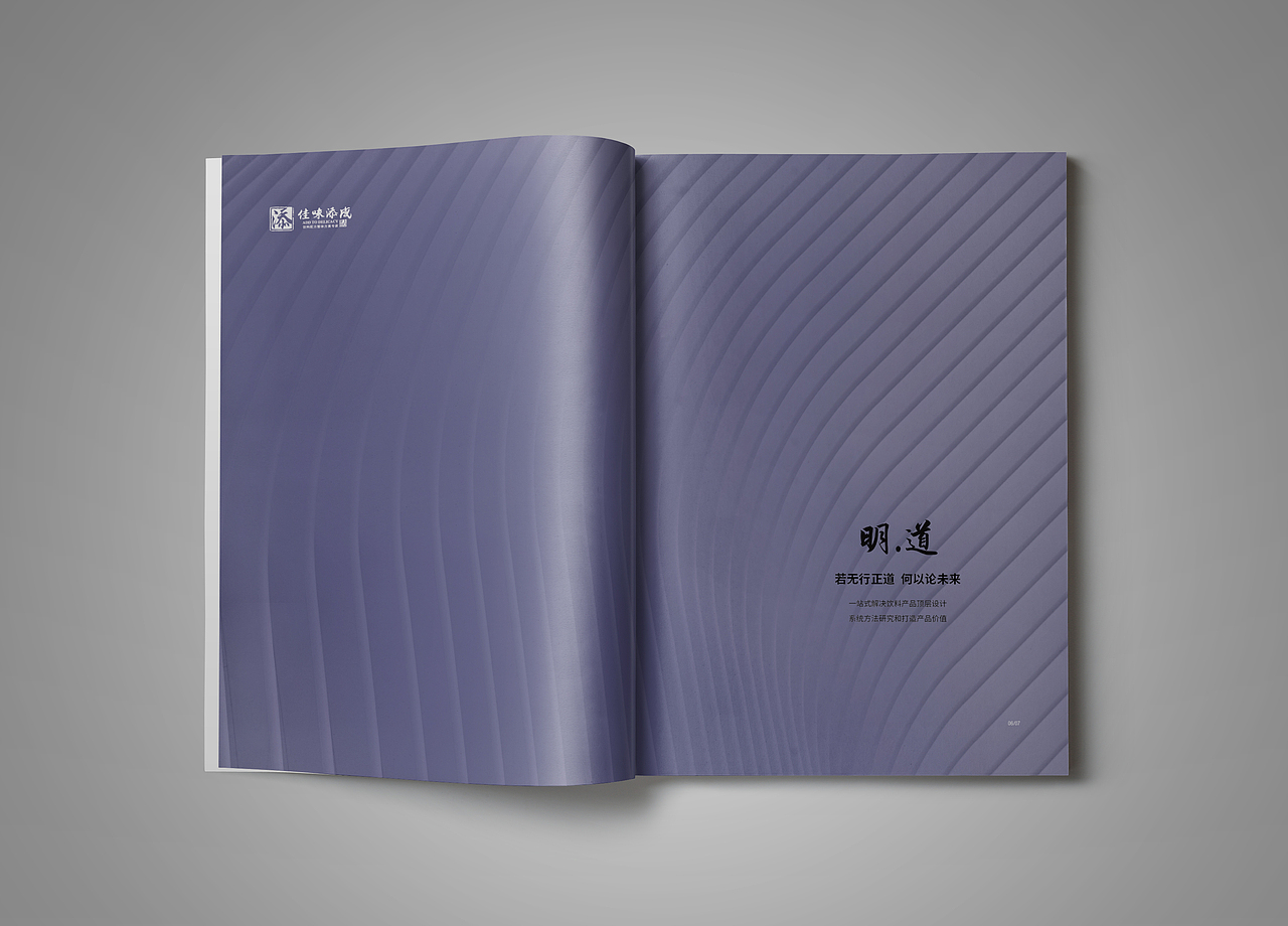 企业画册/宣传册