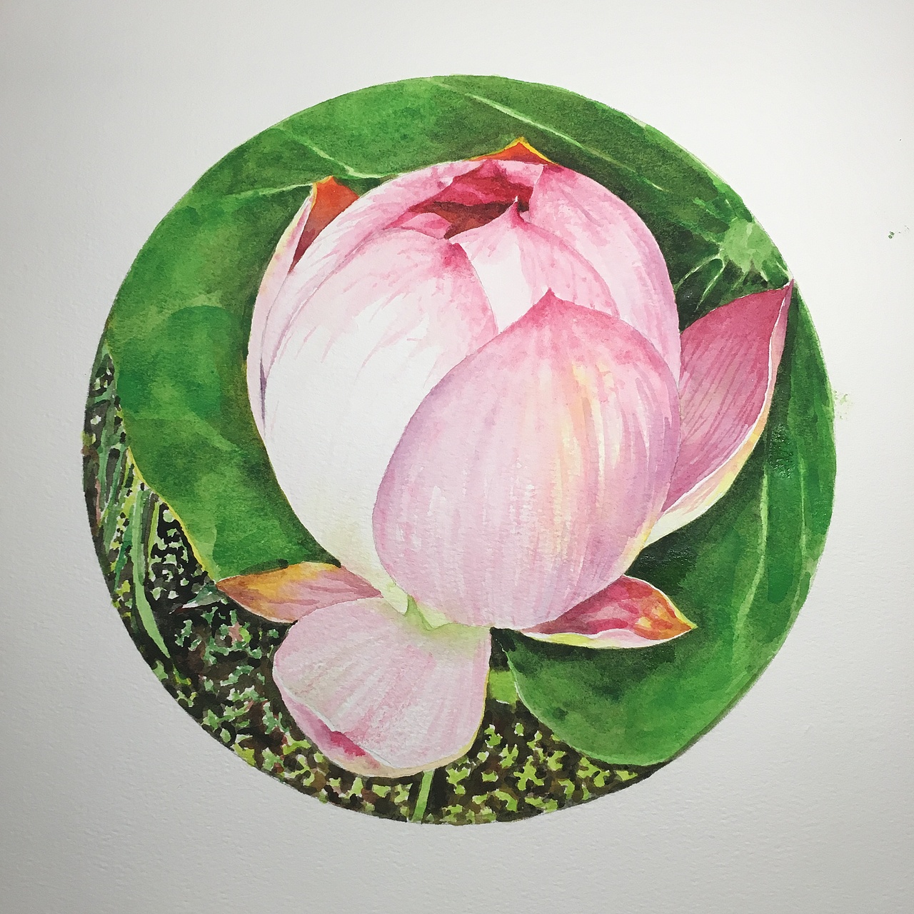 感受圆形构图之美