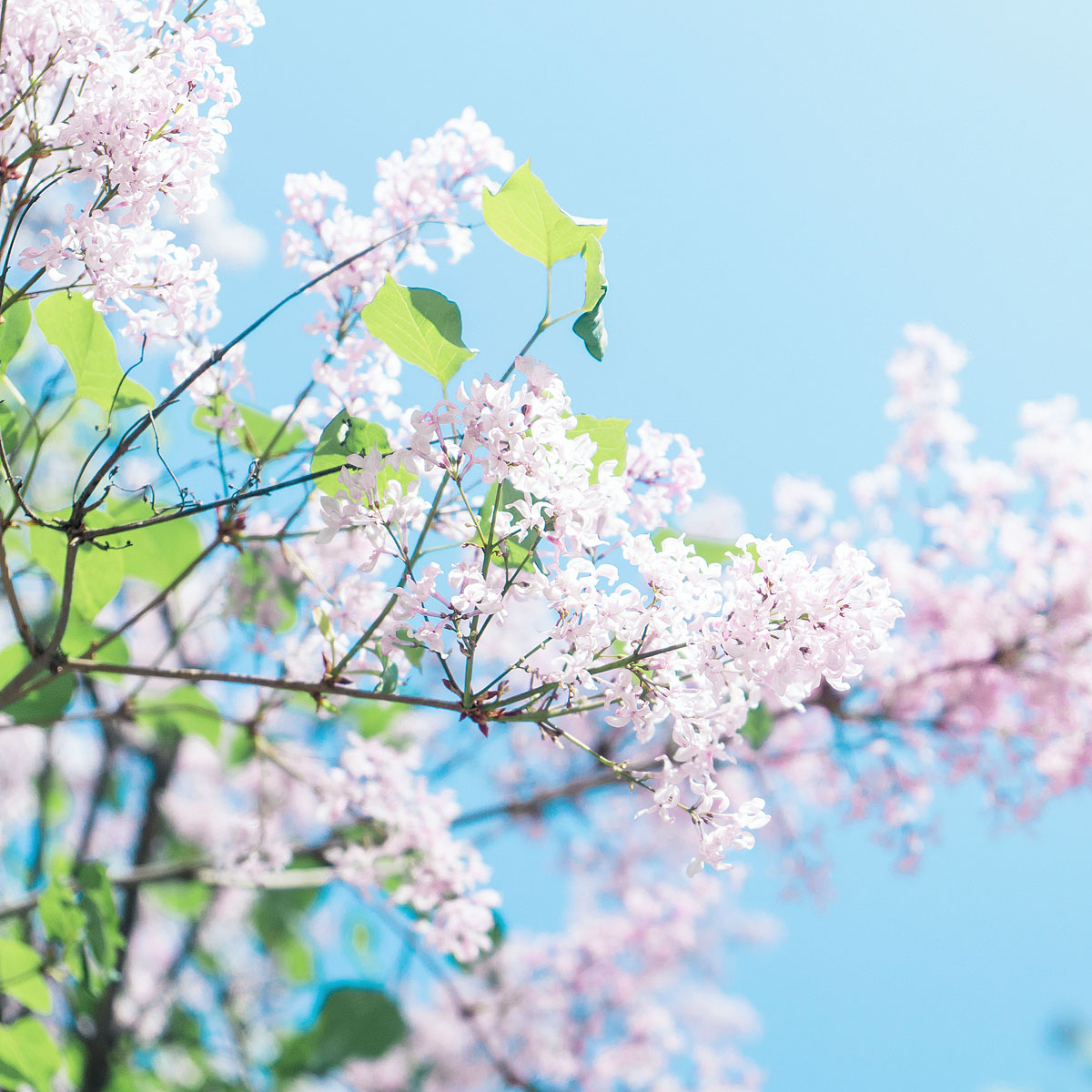 比我糟吗的个人主页（背景预览） - 主页背景设置 - 站酷设计师比我糟吗原创素材 - 站酷ZCOOL