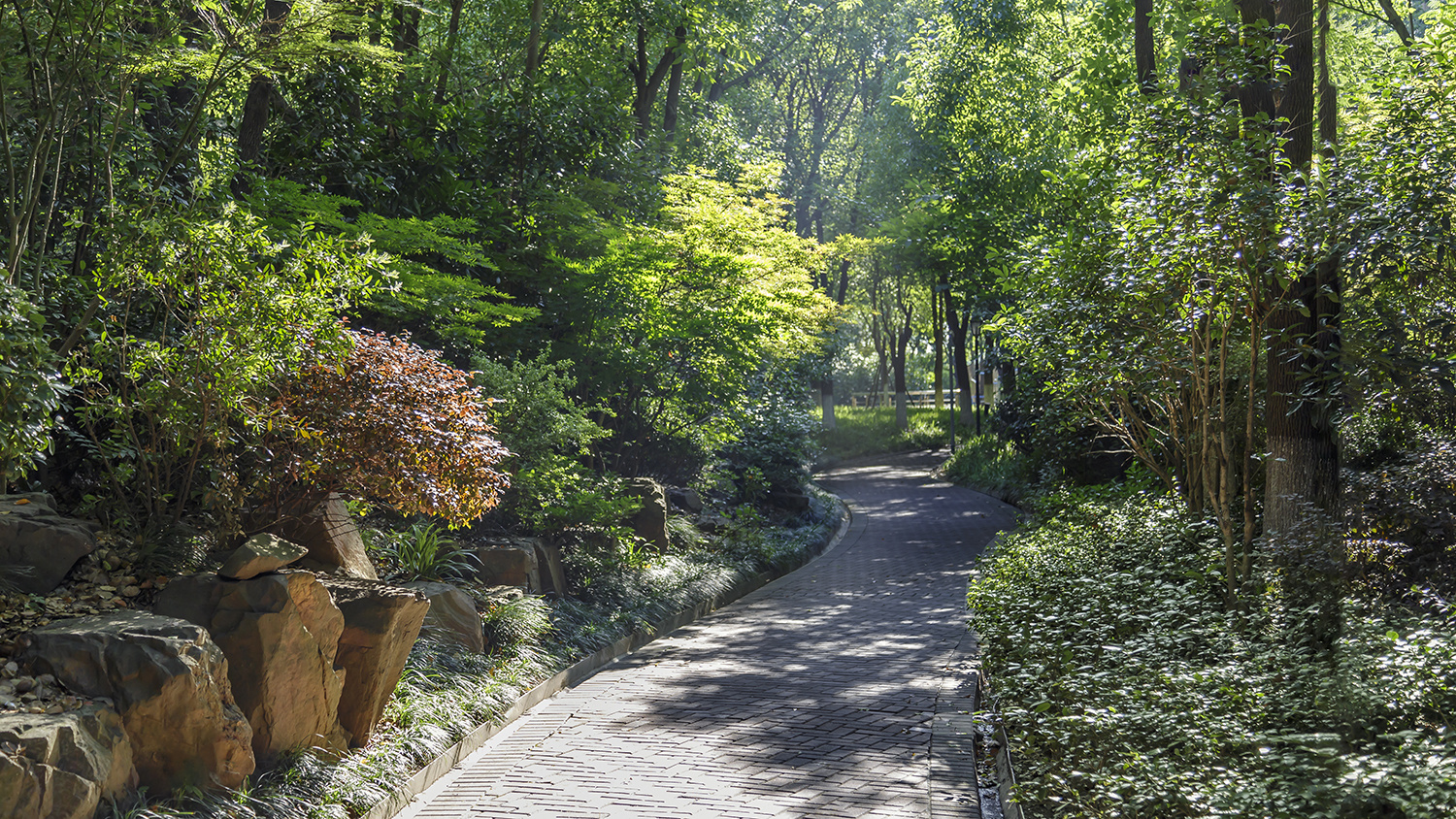 飞扬景观丨上海三湘黑森林