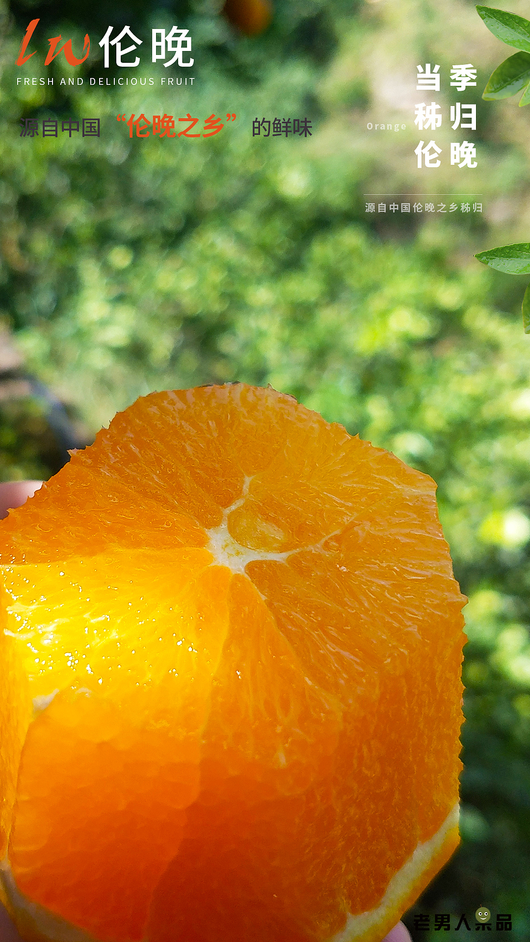 伦晚 手机端1080（图ZMTE3MDY5Mjgw） - 宣传物料 - 站酷设计师邱公城原创素材 - 站酷ZCOOL