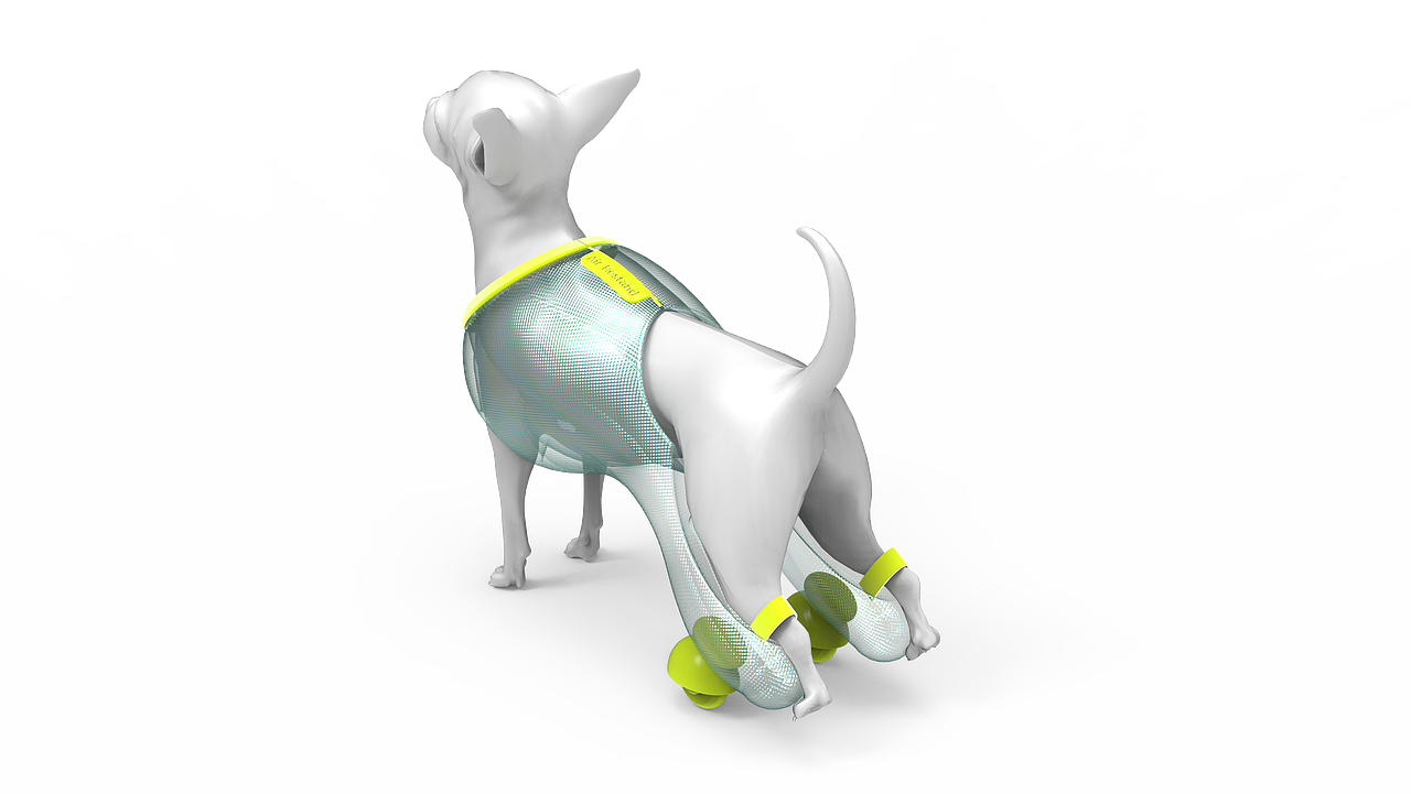 红点概念奖:充气狗轮椅 Air Restand