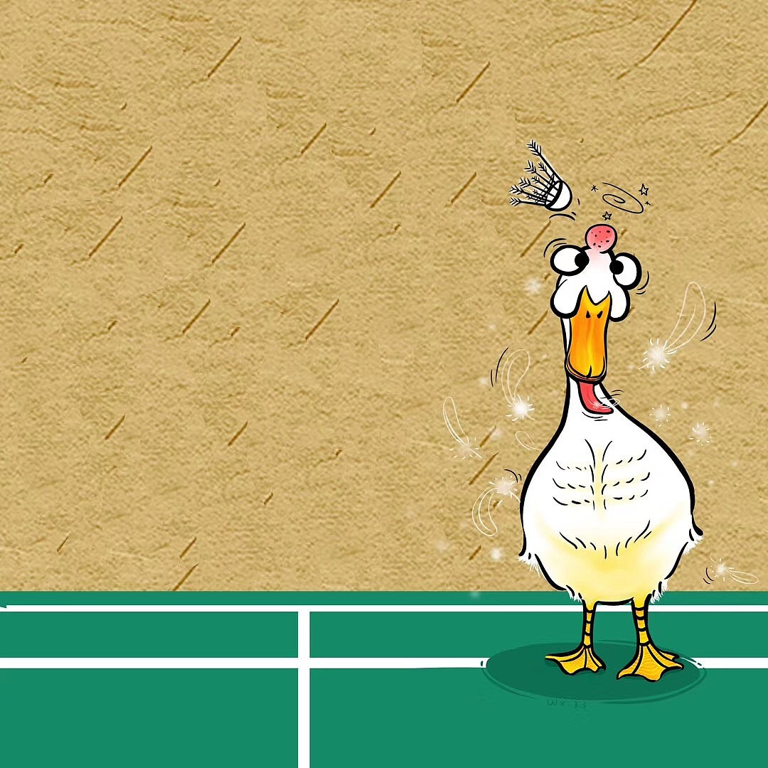 没球打的不知第几天鸭