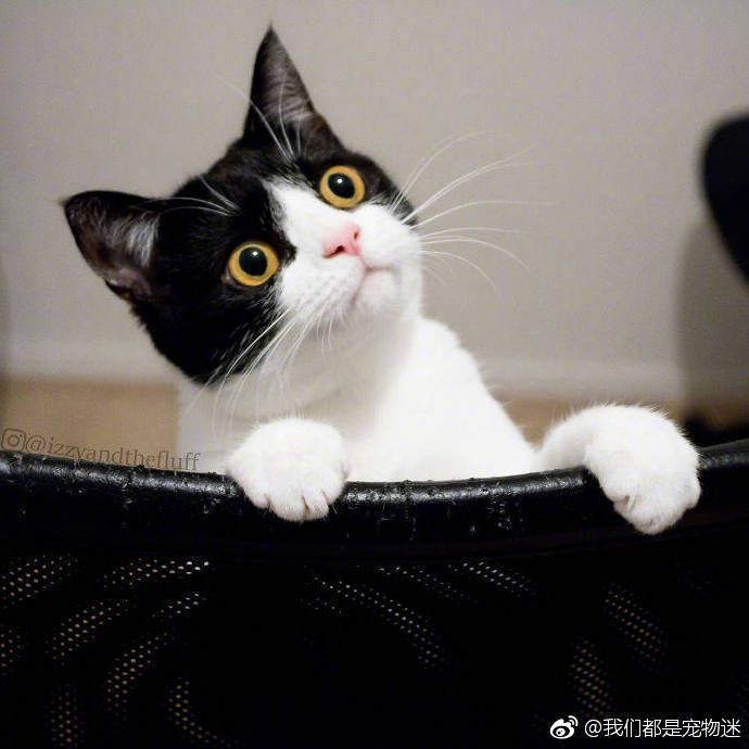 素洁1707的个人主页（背景预览） - 主页背景设置 - 站酷设计师素洁1707原创素材 - 站酷ZCOOL