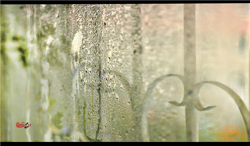 雨一直下，天气骤然冷了（图ZMzc1NDIxMTY=） - 产品摄影 - 站酷设计师辰汇摄影原创素材 - 站酷ZCOOL