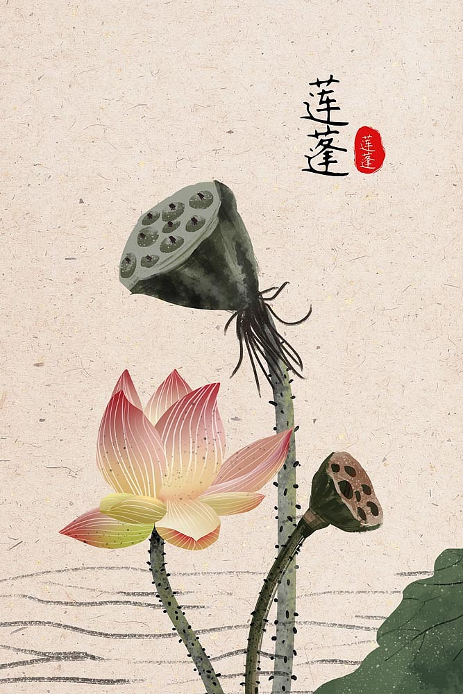 2022小清新香格里拉定制（图ZMjkwNzI5NjQw） - 商业插画 - 站酷设计师窗帘图库原创素材 - 站酷ZCOOL