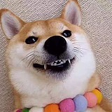 meishilele的头像