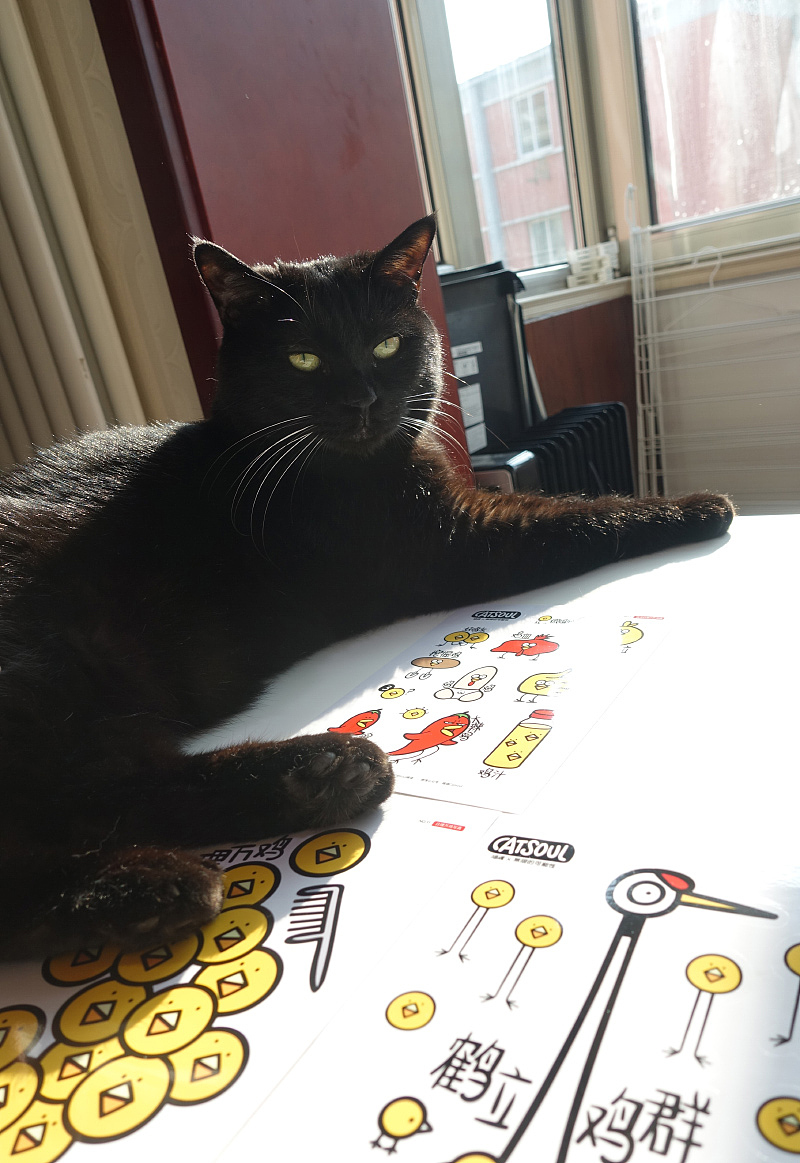 最后放上我的猫菇辟邪，预祝大家鸡年快乐！
=3333=<br><br>