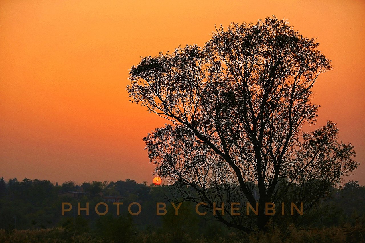 秋色（图ZOTY1OTM5NjQ=） - 风光摄影 - 站酷设计师发现的眼睛A原创素材 - 站酷ZCOOL