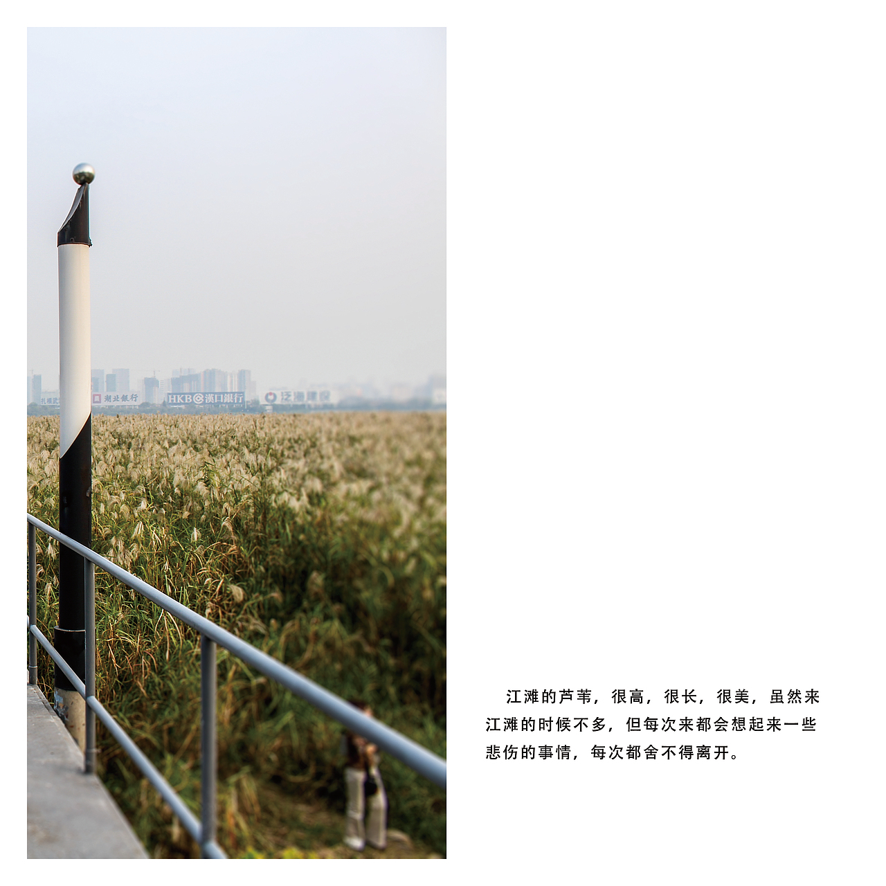 画册设计—摄影画册