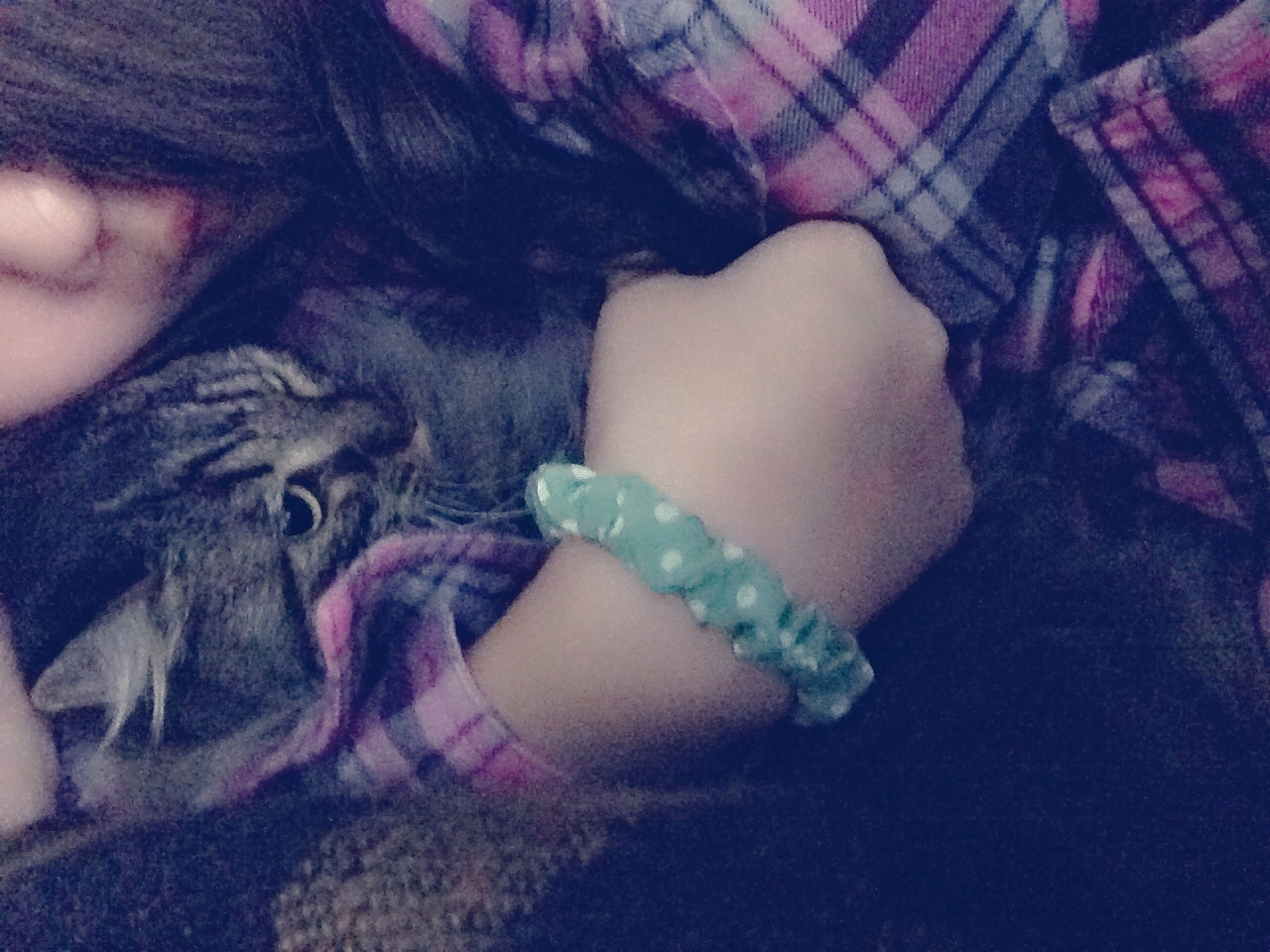 晒猫这种事必须参一脚（图ZMjU1NDI5Mjg=） - 宠物摄影 - 站酷设计师Lieles莘原创素材 - 站酷ZCOOL
