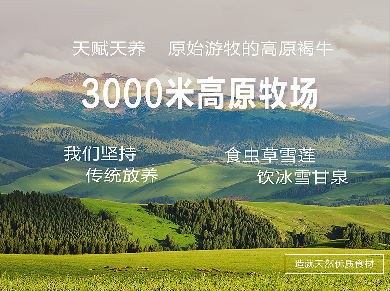 生鲜牛肉详情页（图ZMTA3ODMwMjM2） - 电商 - 站酷设计师峰恋原创素材 - 站酷ZCOOL