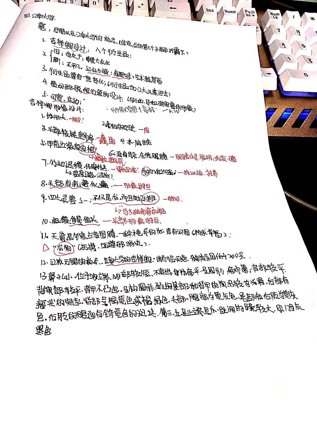 江南大学吉祥物“鼋”与周边衍生