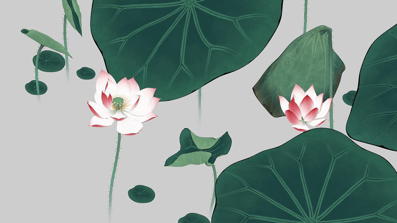 3D中国画工笔荷花（图ZNzAzMjMzMDA=） - 动画/影视 - 站酷设计师中国风动画原创素材 - 站酷ZCOOL