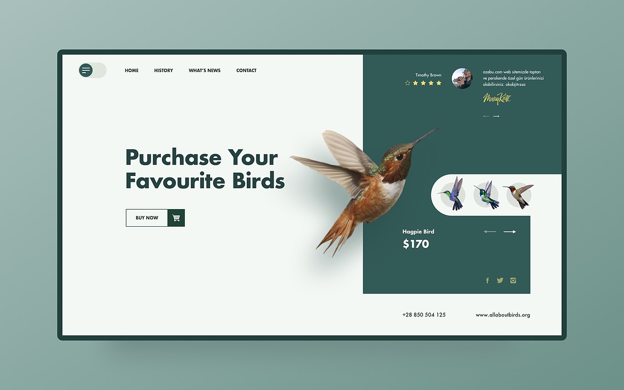 三月界面练习（图ZMjA0MDMyNjY4） - 企业官网 - 站酷设计师王金宝原创素材 - 站酷ZCOOL