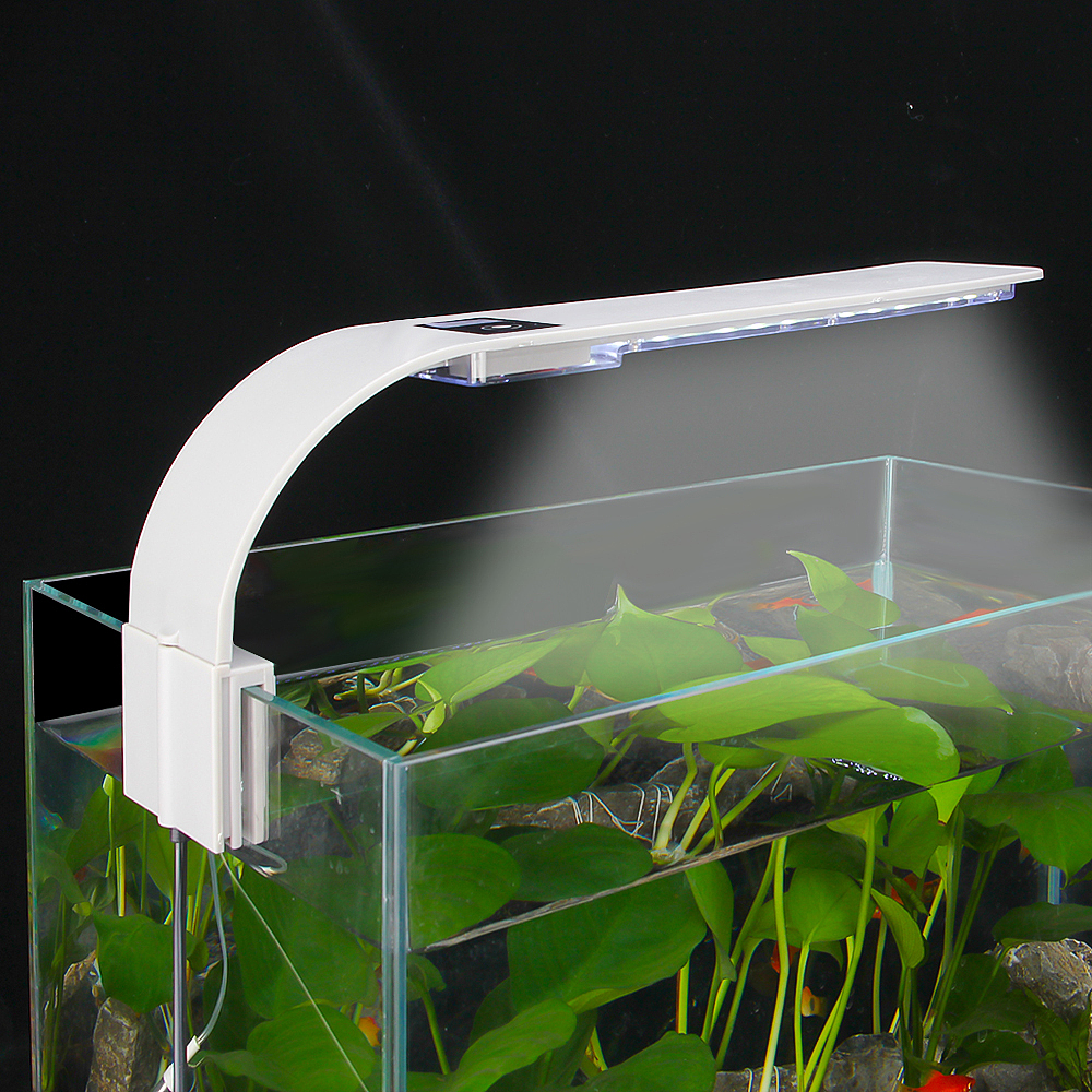 水族鱼缸夹灯作品（图ZMjA2MTE2MjM2） - 产品摄影 - 站酷设计师邓欣荣原创素材 - 站酷ZCOOL