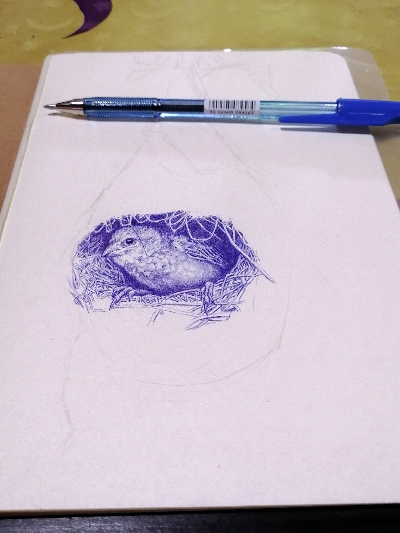 老男孩圆珠笔画《窝居》