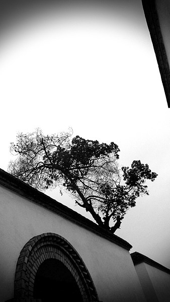 淘宝摄影,石家庄淘宝摄影,皮草摄影,石家庄摄影