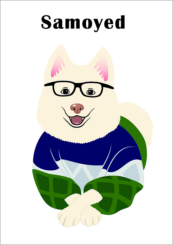 动物类  ——【萨摩耶犬】