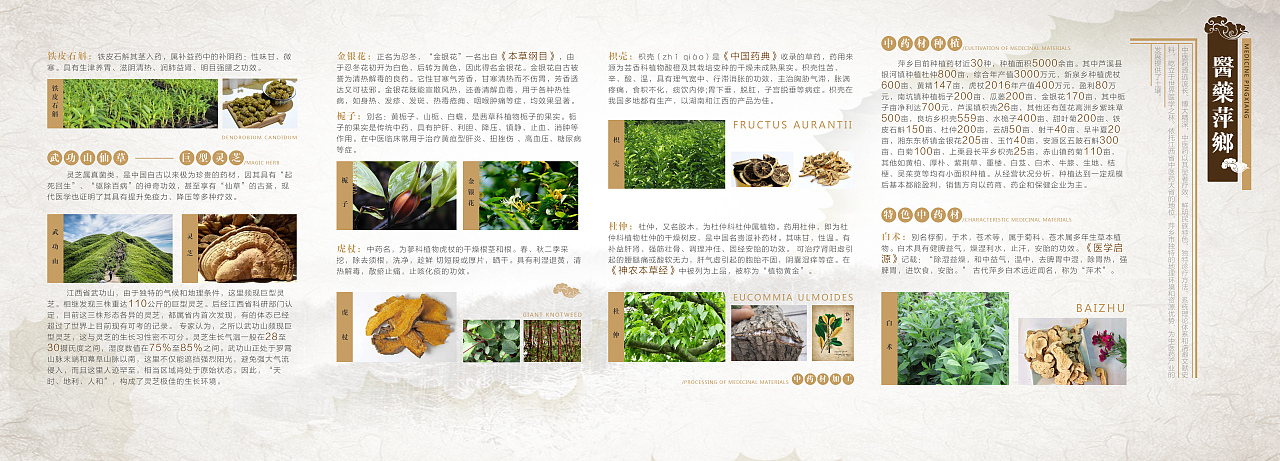 青山中医药健康养身小镇展馆（平面设计）（图ZMTU1ODA3OTYw） - 展陈设计 - 站酷设计师老捷寶原创素材 - 站酷ZCOOL