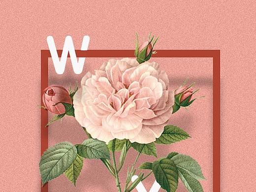 PS练习花朵穿插文字