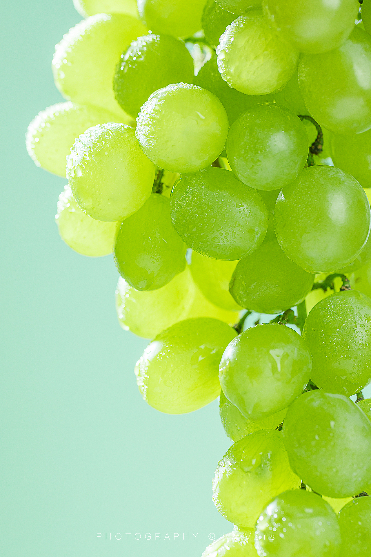 静物摄影丨拍水果就要摆得整整齐齐的~食物拍摄分享