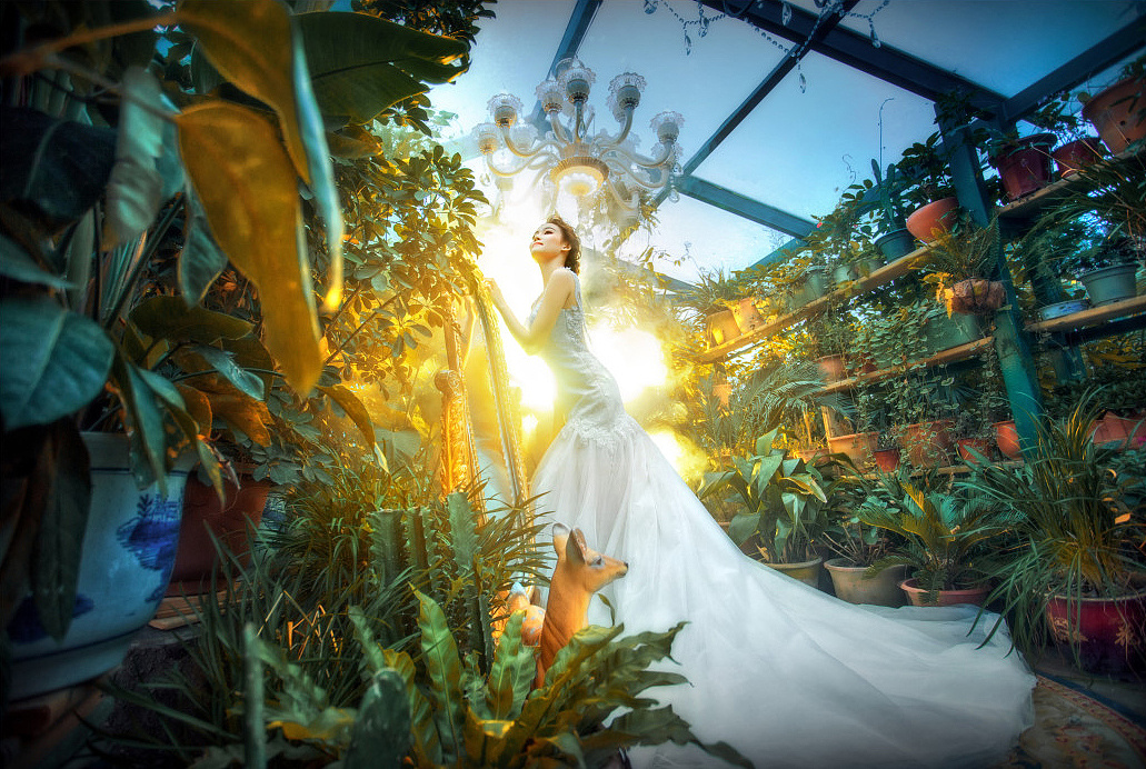 【成都诺汐视觉】梦幻中の花房姑娘