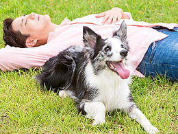 寵物app創(chuàng)作