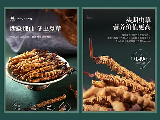 滋补品—冬虫夏草详情视觉设计