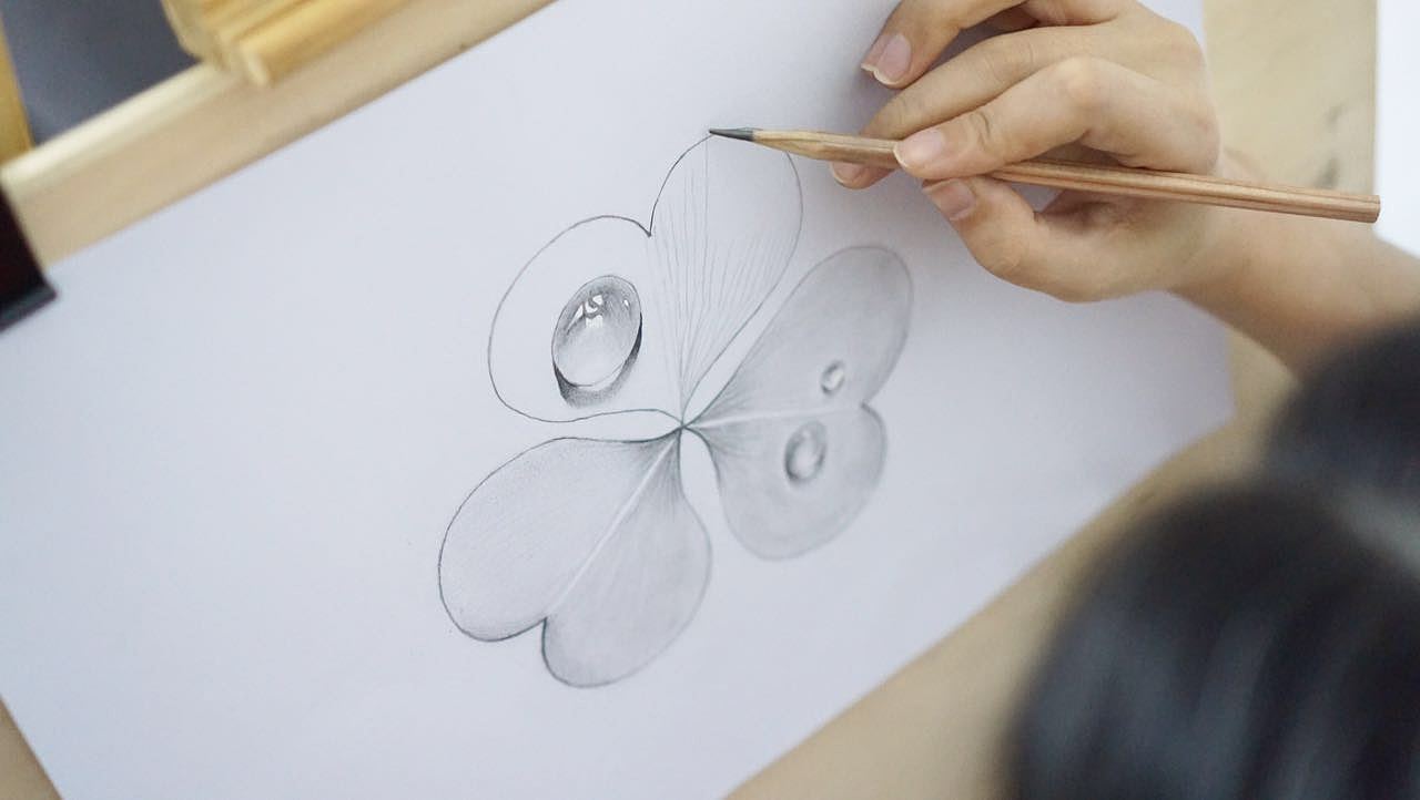 三叶草绘画习作