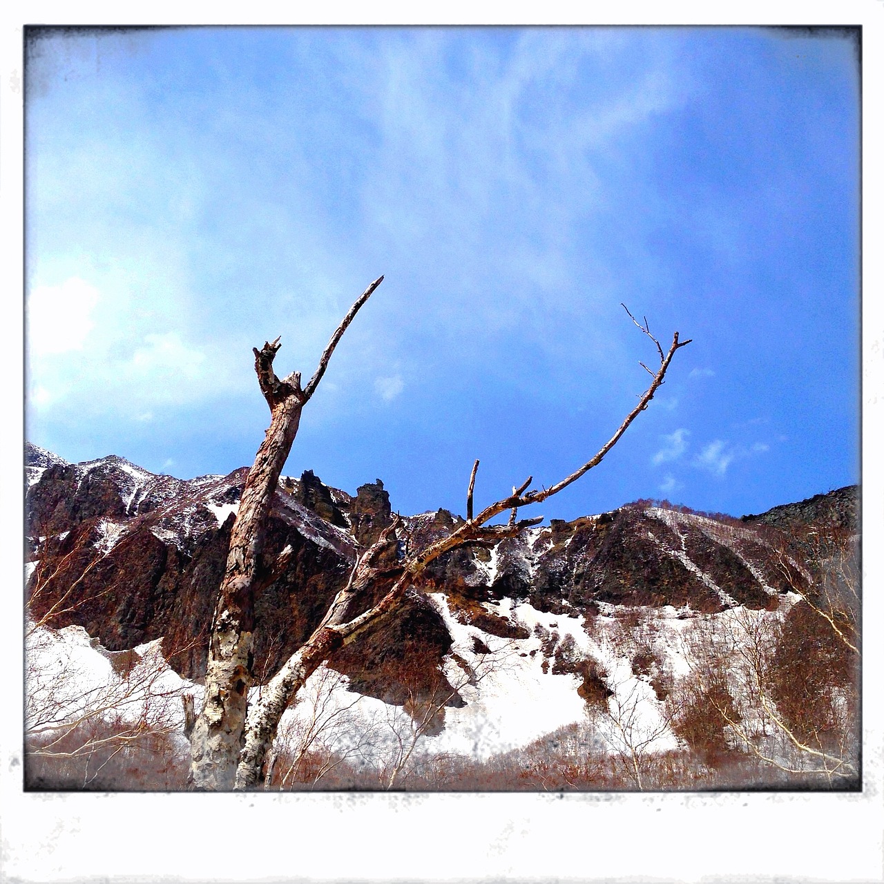 5月的長白山（圖ZOTc3NDQ0OA==） - 風光攝影 - 站酷設計師大連瑞智廣告公司原創(chuàng)素材 - 站酷ZCOOL