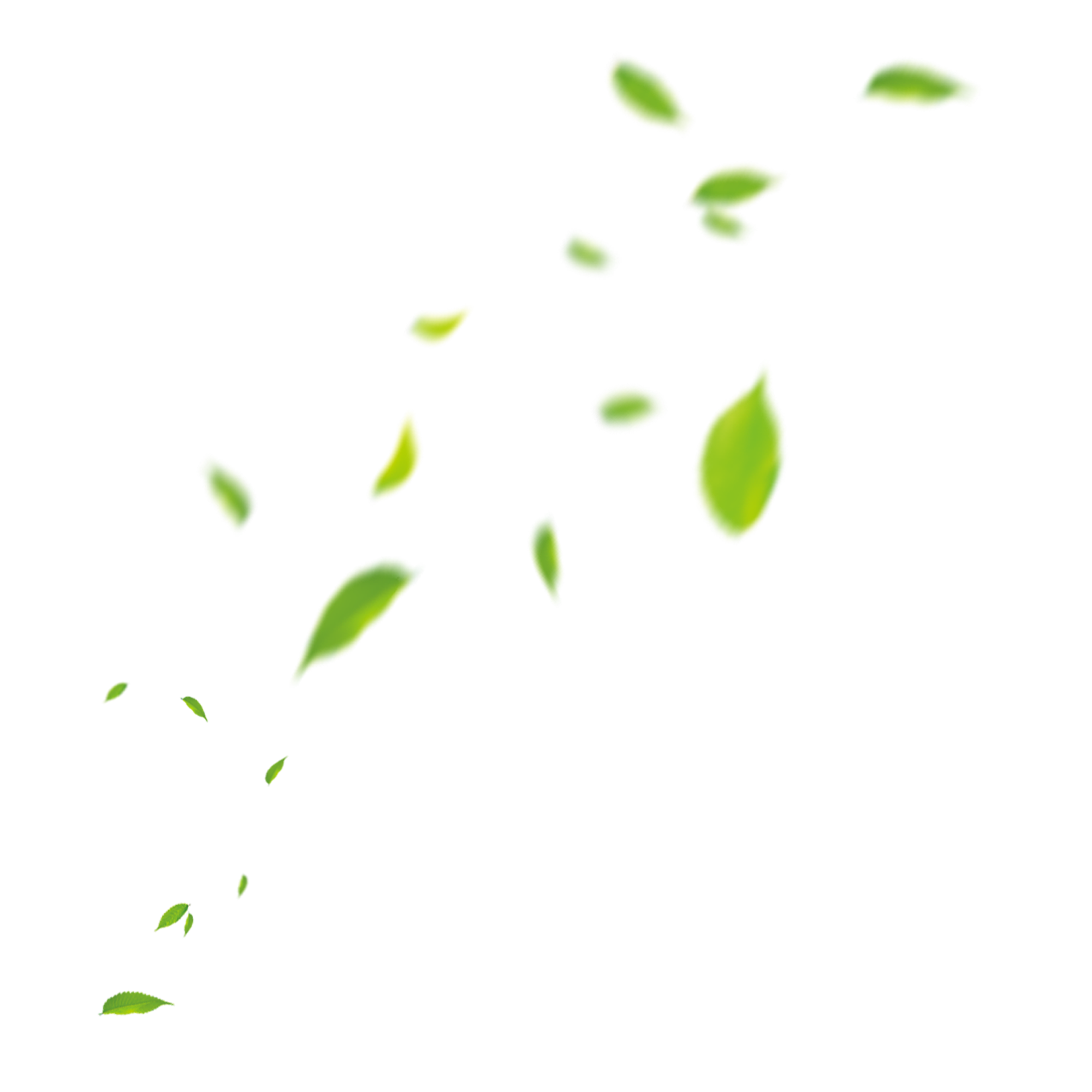 糖哥的个人主页（封面预览） - 主页封面设置 - 站酷设计师糖哥原创素材 - 站酷ZCOOL