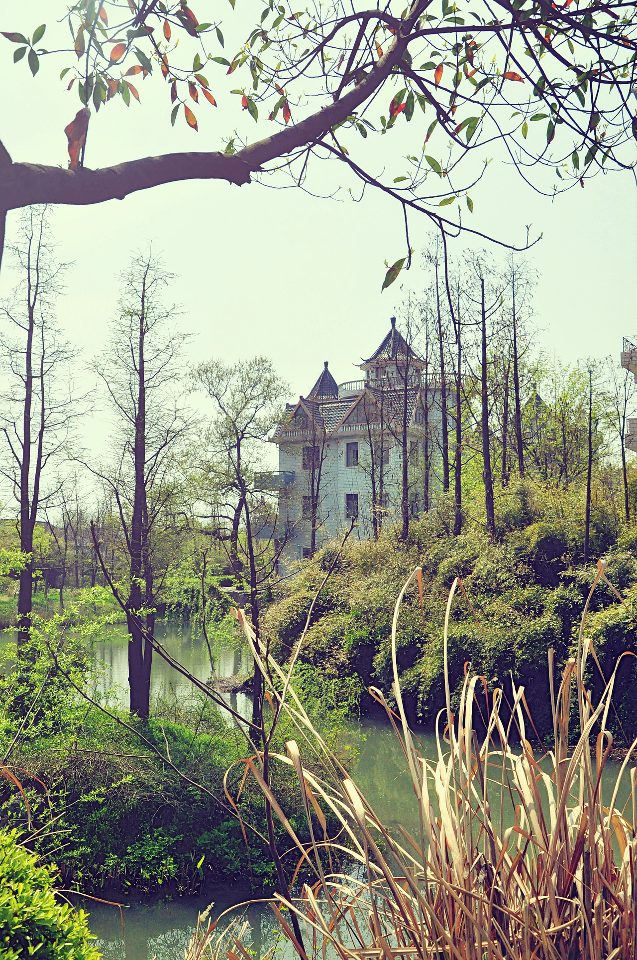 大学摄影随手拍拍（图ZMjUwOTI3MzI=） - 风光摄影 - 站酷设计师传媒摄影人原创素材 - 站酷ZCOOL