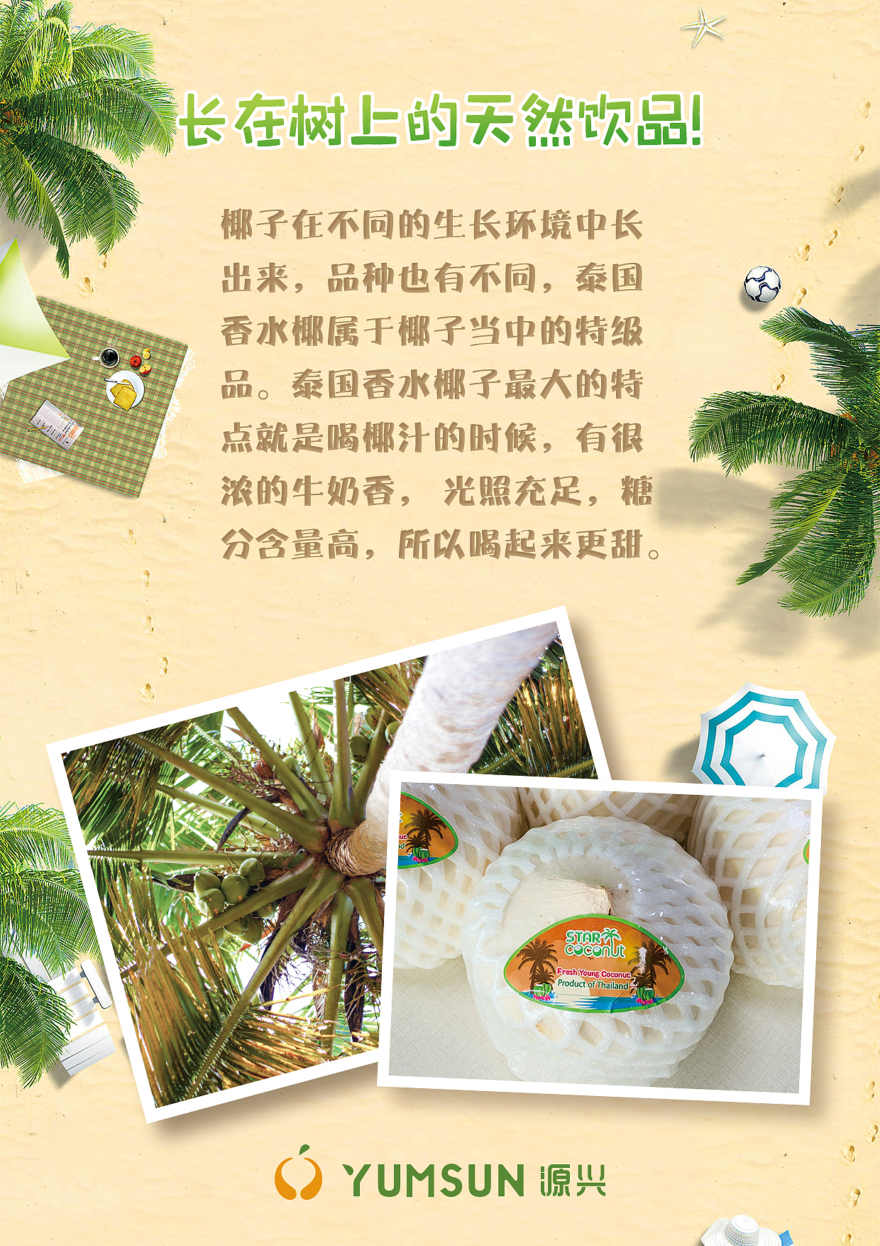 泰国香水椰青POP