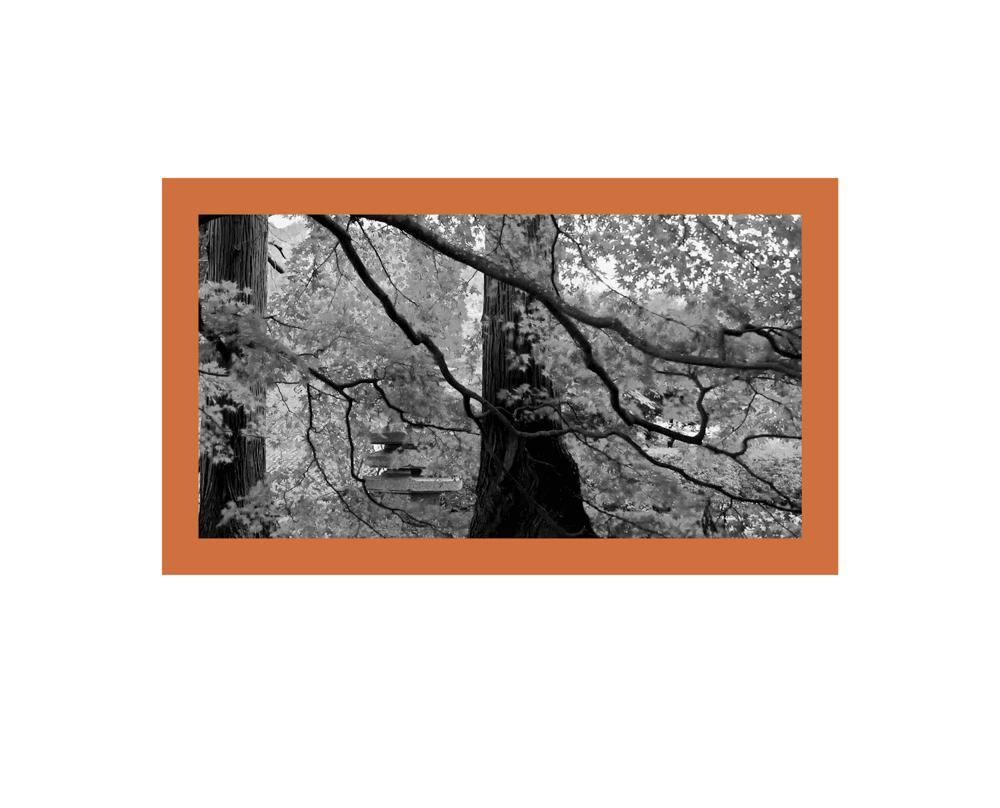 加少许艺术喝茶