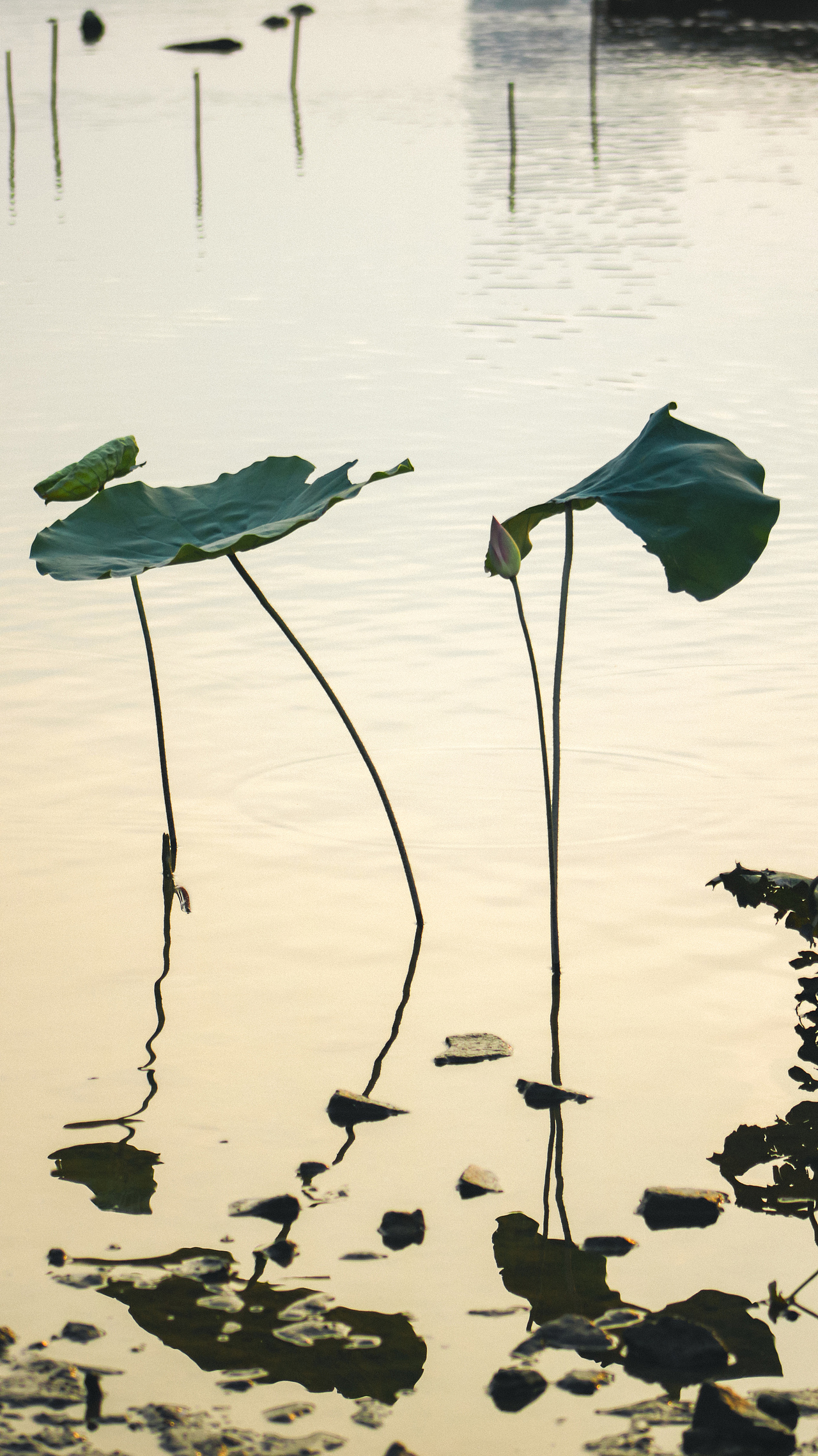 國慶節(jié)存在相機里的記憶（圖ZMjc0MDc1NTIw） - 環(huán)境/建筑攝影 - 站酷設計師是阿涵原創(chuàng)素材 - 站酷ZCOOL
