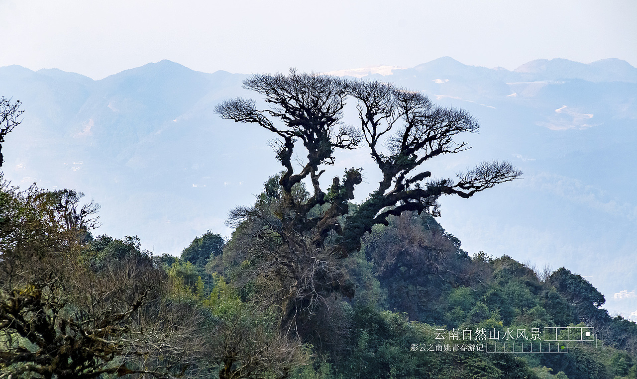 云南省临沧市凤庆县大河龙潭山姚青春自然风光山水风景游记36