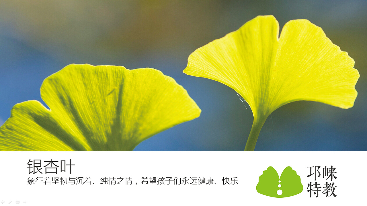 邛崃市特殊教育九年制义务教育学校的logo设计