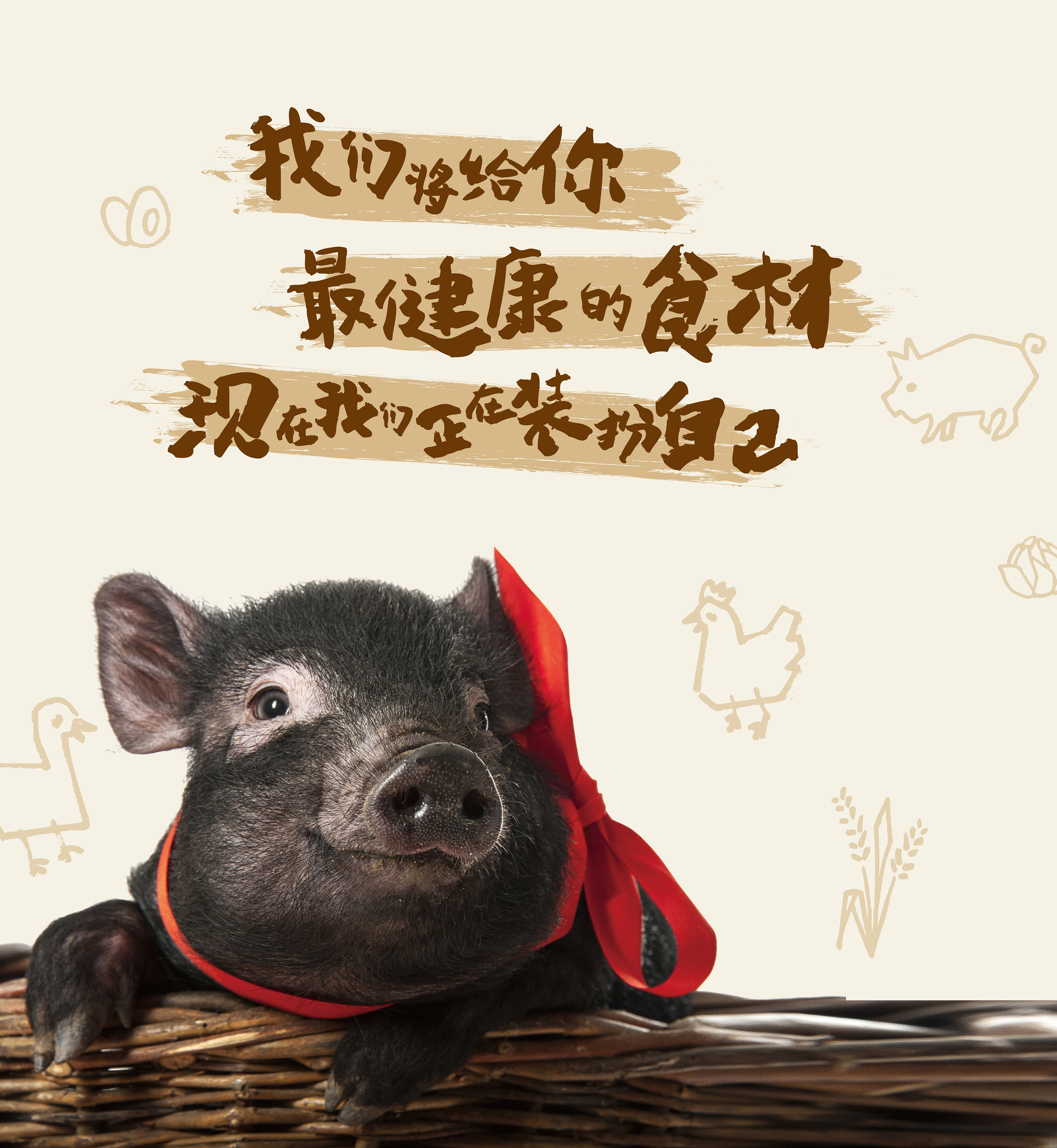 贵州丹寨县黔山猪猪肉产品品牌形象设计|平面|品牌|JFD设计事务所 - 原创作品 - 站酷 (ZCOOL)
