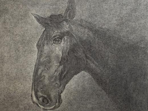 馬、素描——舒揚(yáng)（個(gè)人主頁-ZNDkwMzk4NzY=） - 繪畫 - 站酷設(shè)計(jì)師糙吉流原創(chuàng)素材 - 站酷ZCOOL