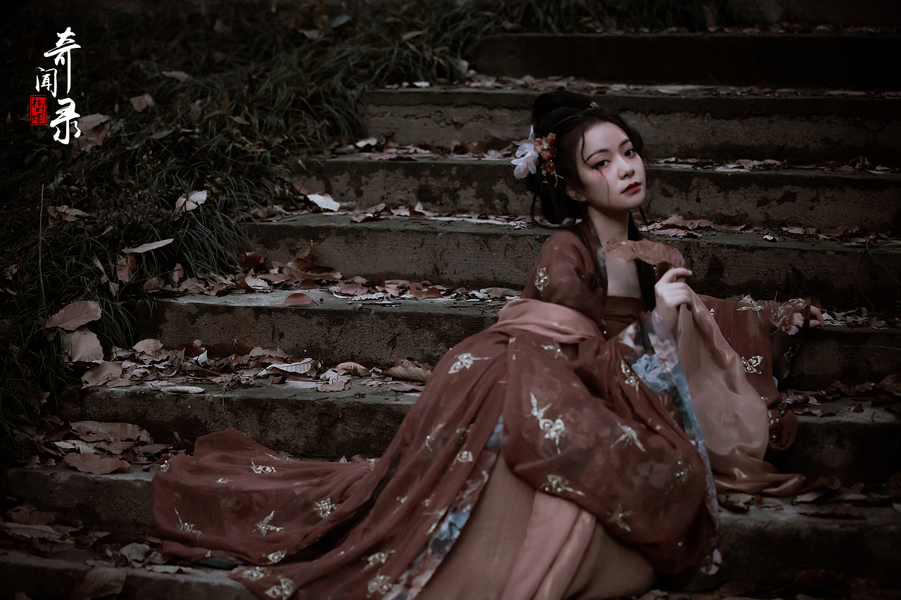 奇闻录·枯叶蝶